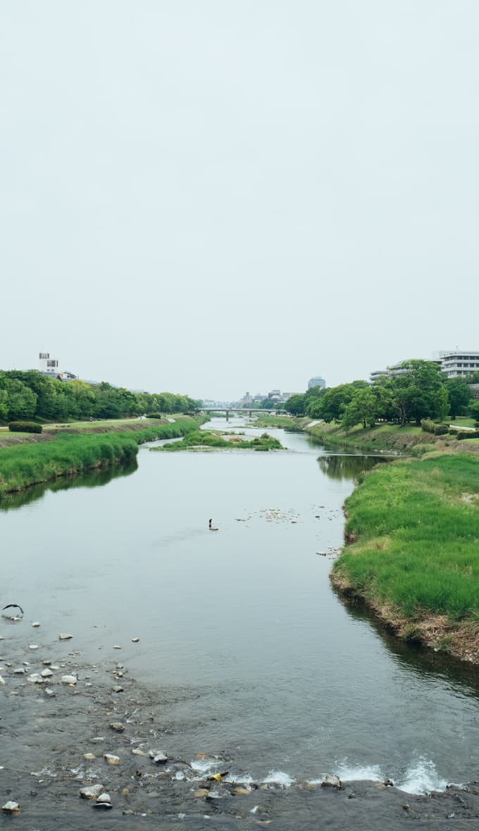 680*1179_sp.jpg